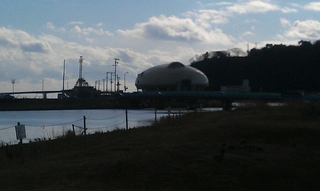IMAG0351.jpg